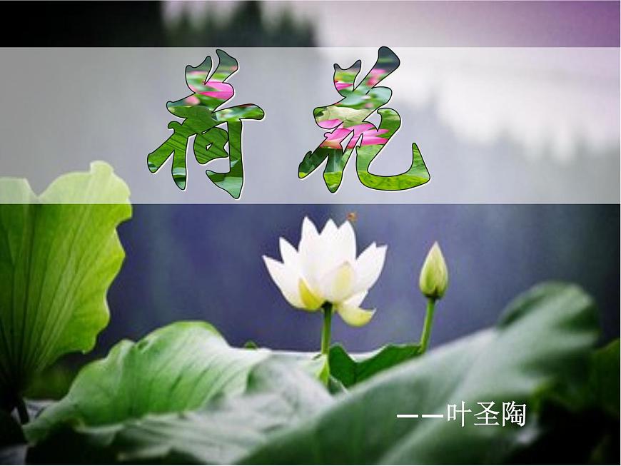 3.荷花 課件部編版三年級(jí)語(yǔ)文下冊(cè)(完美版)第2頁(yè)