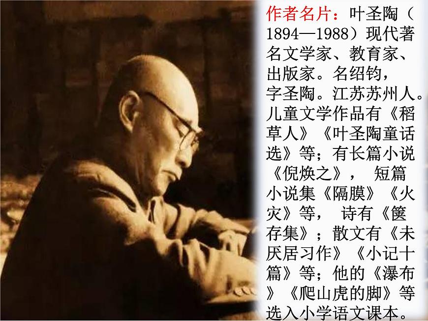 3.荷花 課件部編版三年級(jí)語(yǔ)文下冊(cè)(完美版)第4頁(yè)