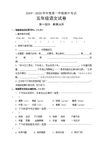 部编语文五年级上册期中测试卷2019-2020