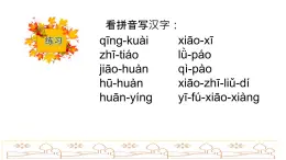 春风  同步综合练习  课件   ppt    附带 课堂动画游戏