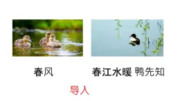 春风  同步教学和练习  课件  第一课时 ppt