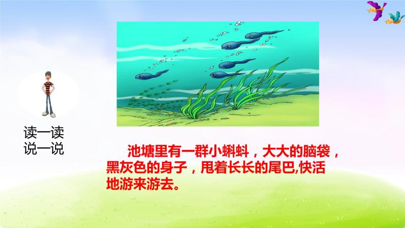 部編版二上語文1小蝌蚪找媽媽課件04