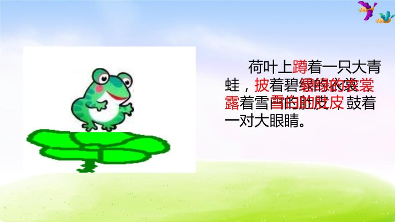 部編版二上語文1小蝌蚪找媽媽課件08
