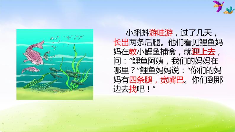 部編版二上語文1小蝌蚪找媽媽課件09