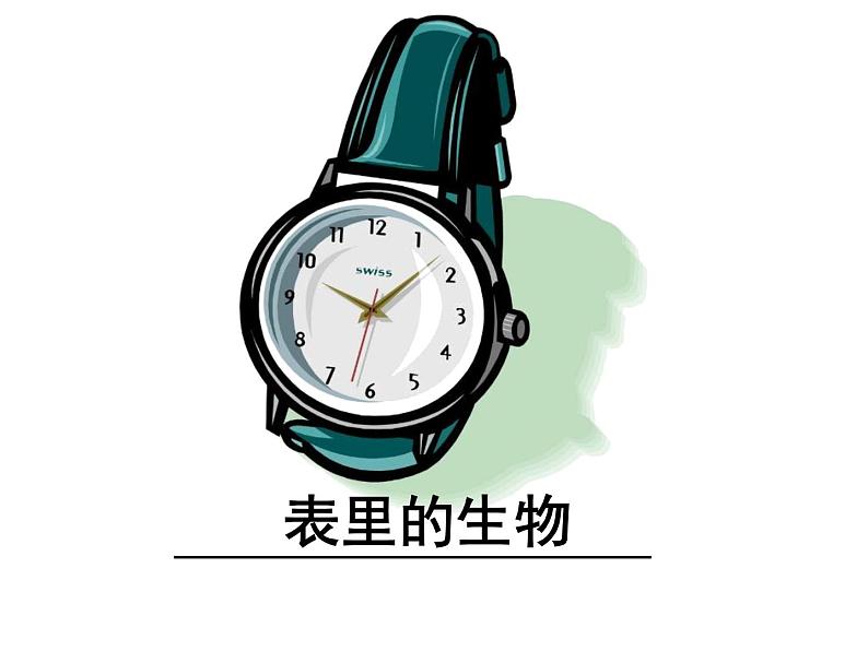 部编版语文六年级下册-05第五单元-03表里的生物-课件0201