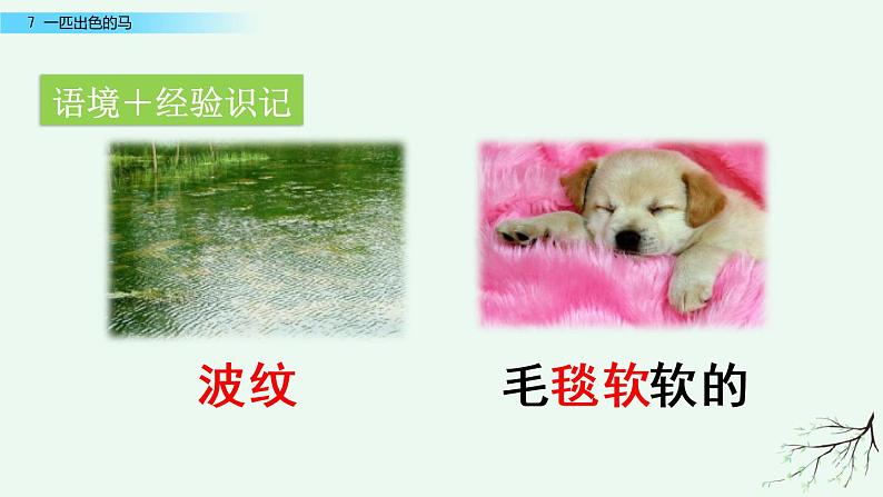 部编版语文二年级下册:7 一匹出色的马 精品PPT课件(含音/视频)08