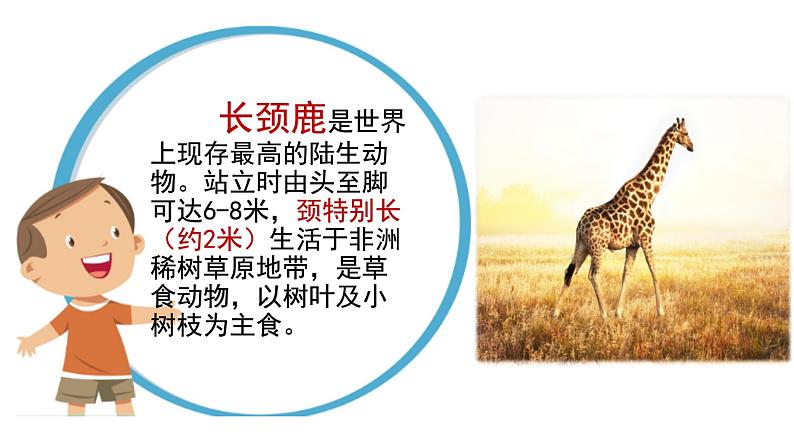 部编版语文二年级下册:20 蜘蛛开店 精品PPT课件(含音/视频)01