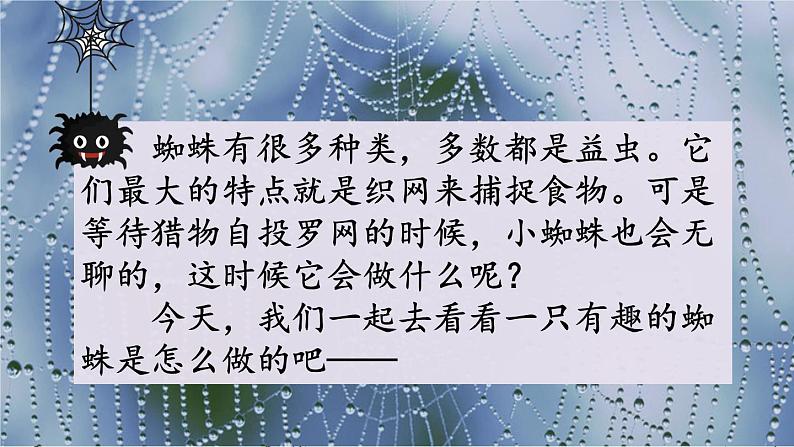 部编版语文二年级下册:20 蜘蛛开店 精品PPT课件(含音/视频)02