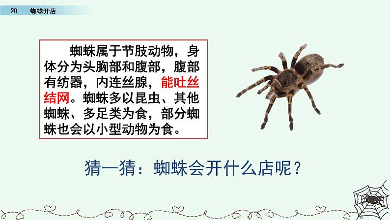 部编版语文二年级下册:20 蜘蛛开店 精品PPT课件(含音/视频)06
