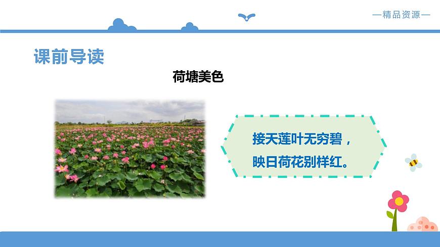 《荷花》課件 + 配套教案+練習 部編版三年級下冊第3頁