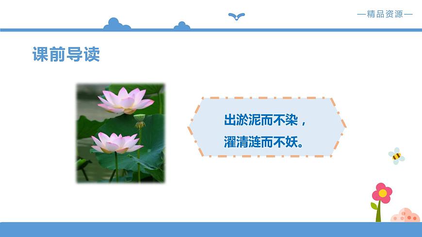 《荷花》課件 + 配套教案+練習 部編版三年級下冊第5頁