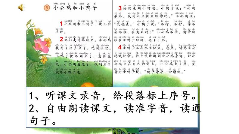 5 小公鸡和小鸭子(课件)03