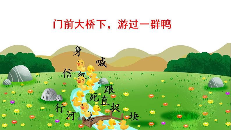 5 小公鸡和小鸭子(课件)05