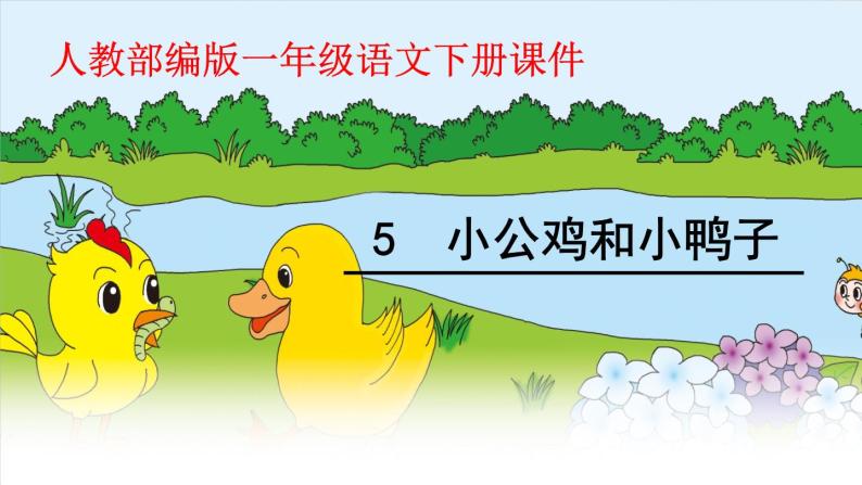 一年级下册语文课件-5. 小公鸡和小鸭子(人教部编版) (共41张PPT)01