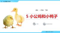 小学语文人教部编版一年级下册5 小公鸡和小鸭子说课课件ppt