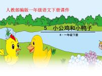 小学语文人教部编版一年级下册5 小公鸡和小鸭子教课内容ppt课件
