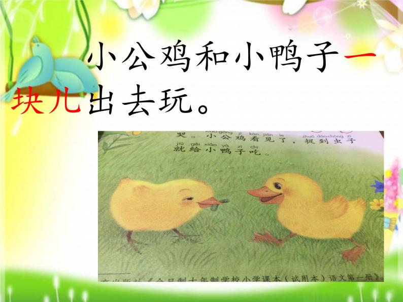 一年级下册语文课件-5. 小公鸡和小鸭子(人教部编版)(共51张PPT)05