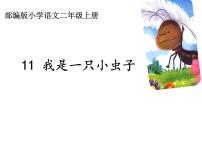 小学语文人教部编版二年级下册11 我是一只小虫子课堂教学课件ppt