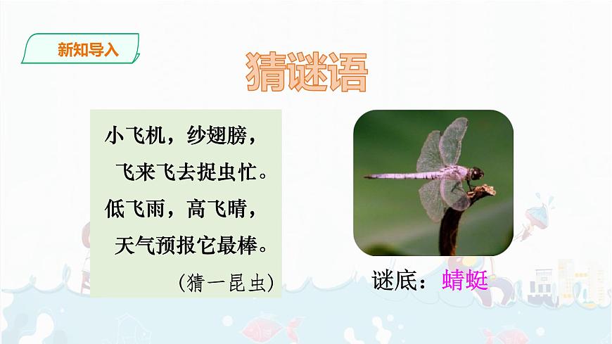 識字5 動物兒歌  課件第2頁