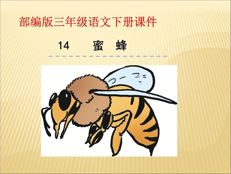 部编版小学语文三年级下册课件14《蜜蜂》 (22张)课件第1页
