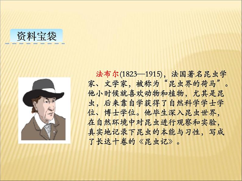 部编版小学语文三年级下册课件14《蜜蜂》 (22张)课件第3页