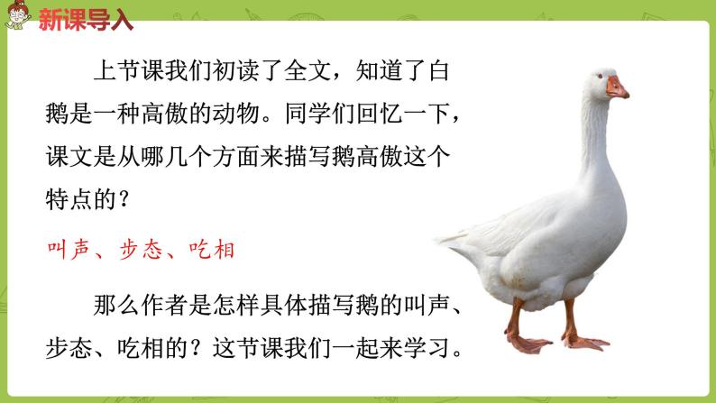 小学语文人教部编版四年级下册15白鹅示范课ppt课件