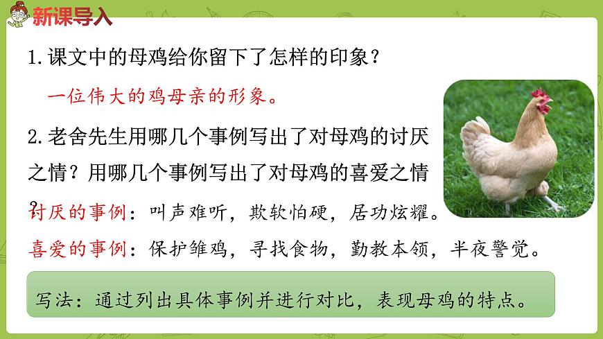 語(yǔ)文統(tǒng)編四（下）第4單元第14課《母雞》課時(shí)2第2頁(yè)