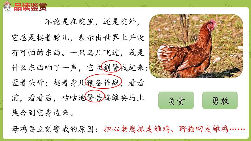 語(yǔ)文統(tǒng)編四（下）第4單元第14課《母雞》課時(shí)2第7頁(yè)