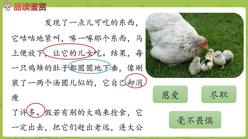 語(yǔ)文統(tǒng)編四（下）第4單元第14課《母雞》課時(shí)2第8頁(yè)