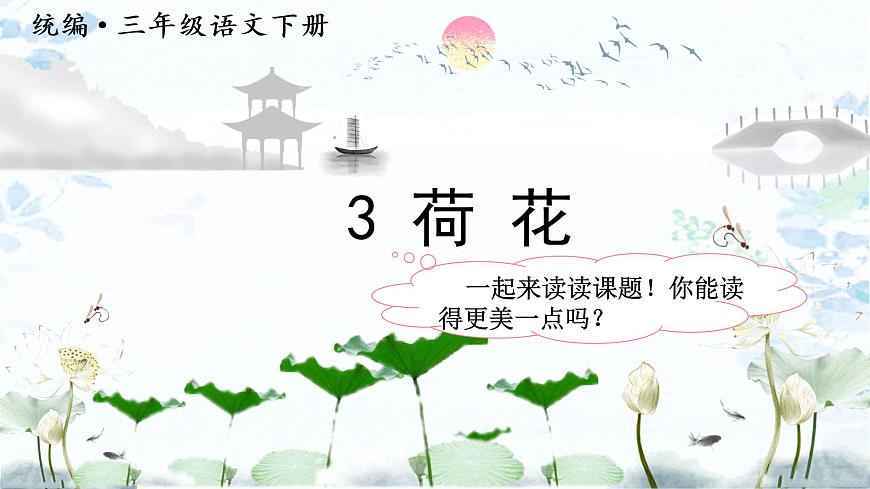 （教學課件）3.荷花第3頁