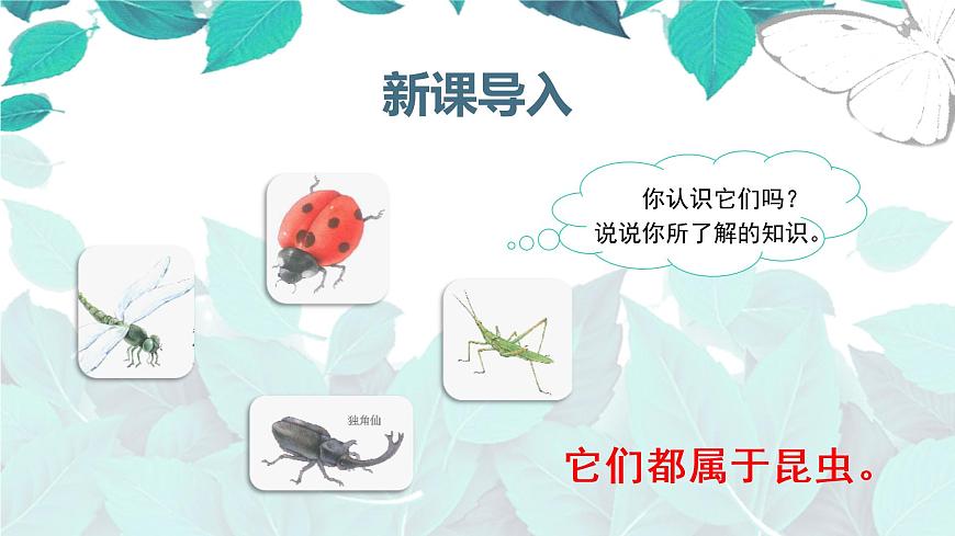 （教學(xué)課件）4.昆蟲備忘錄第1頁