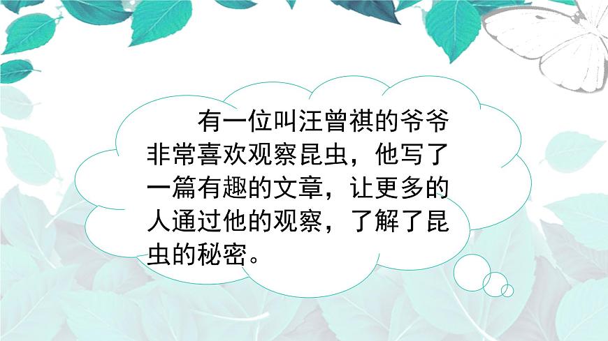 （教學(xué)課件）4.昆蟲備忘錄第2頁