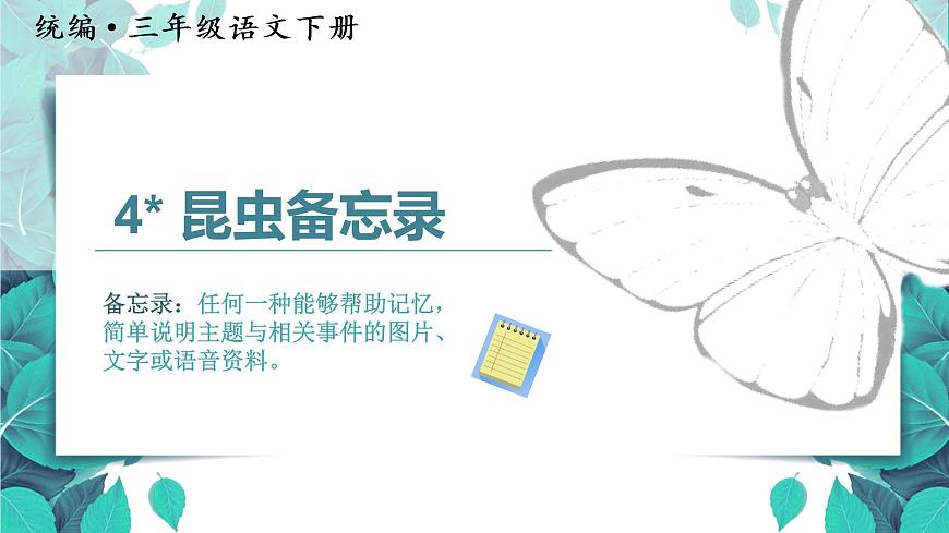 （教學(xué)課件）4.昆蟲備忘錄第3頁
