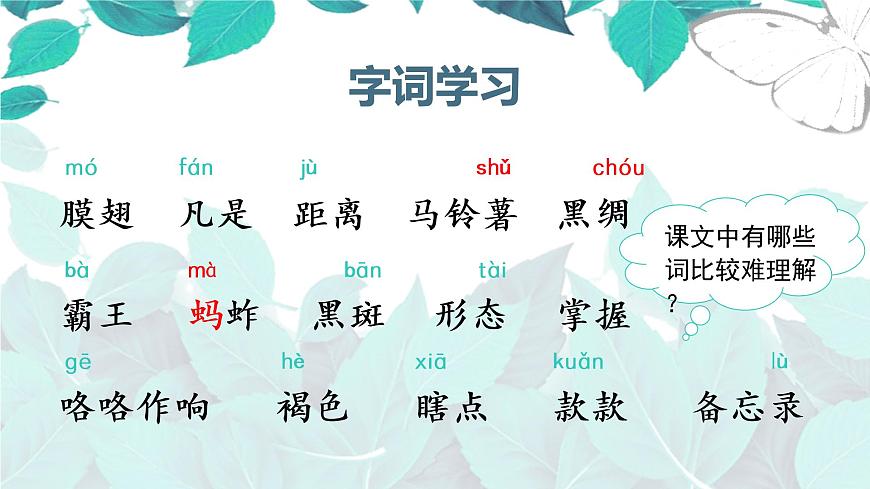 （教學(xué)課件）4.昆蟲備忘錄第8頁