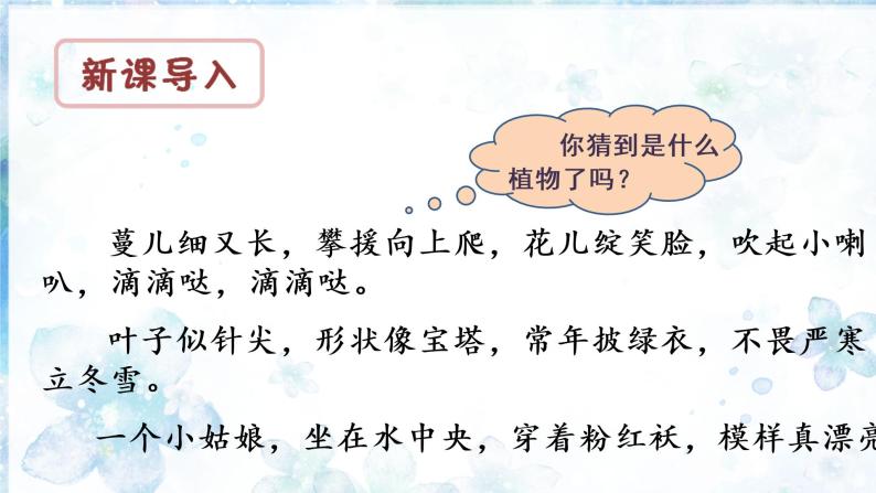 部编语文三下：习作一  我的植物朋友 精品PPT课件+习作例文03