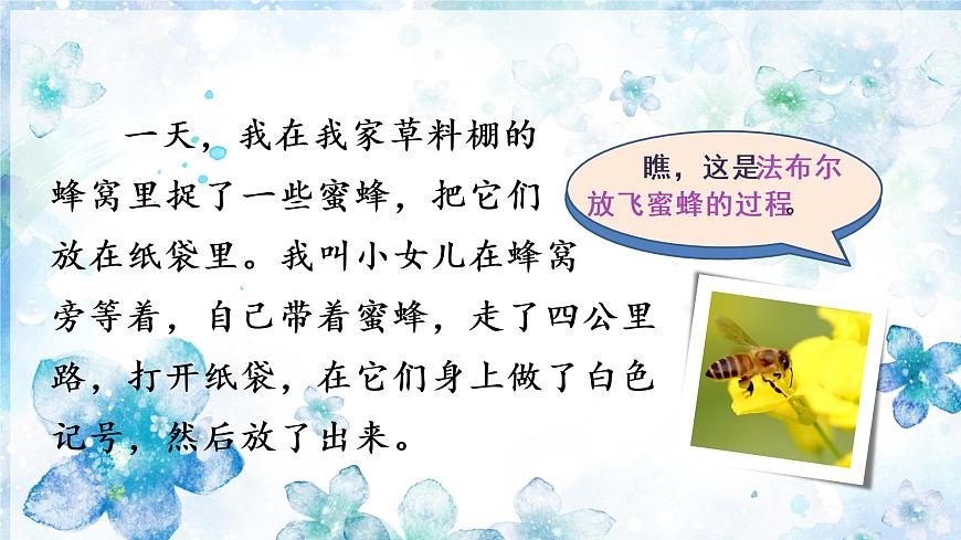 （教學(xué)課件）習(xí)作四  我做了一項(xiàng)小實(shí)驗(yàn)第8頁