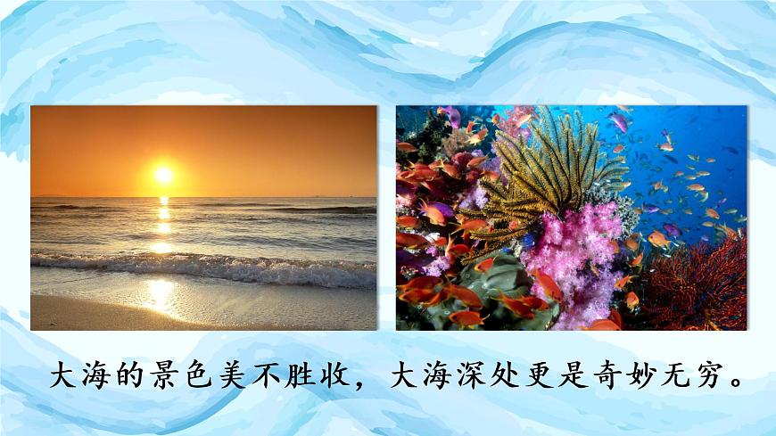 （教學(xué)課件）23.海底世界第2頁(yè)