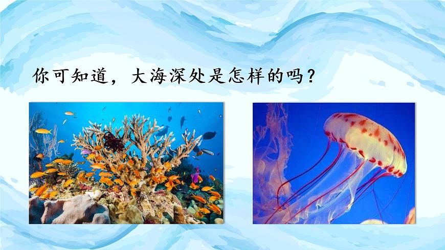 （教學(xué)課件）23.海底世界第3頁(yè)