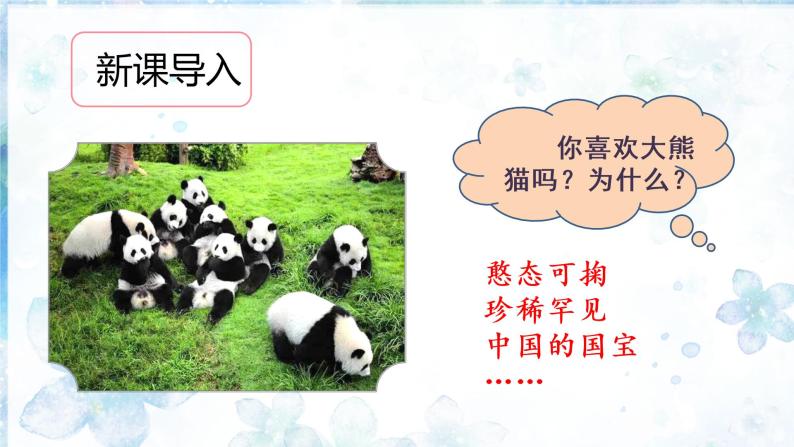 部编语文三下：习作七  国宝大熊猫 精品PPT课件+习作例文04