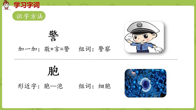 部编版三年级语文下册 第7单元 23.《海底世界》(PPT课件)06