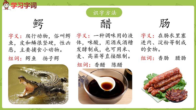 部编版三年级语文下册 第5单元 17.《我变成了一棵树》(PPT课件)07