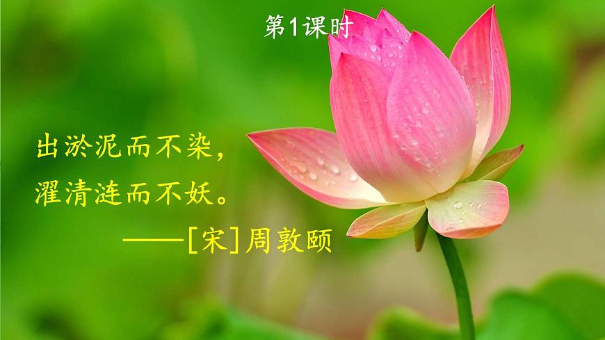 1人教版三年級語文下冊 第一單元 3 荷花第2頁