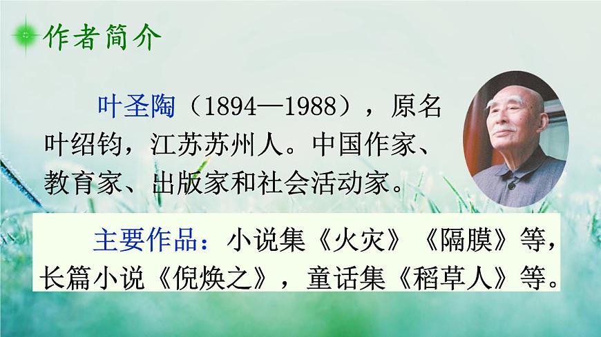 1人教版三年級語文下冊 第一單元 3 荷花第4頁
