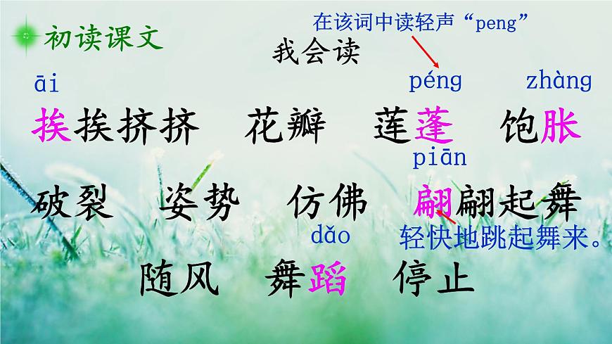 1人教版三年級語文下冊 第一單元 3 荷花第6頁