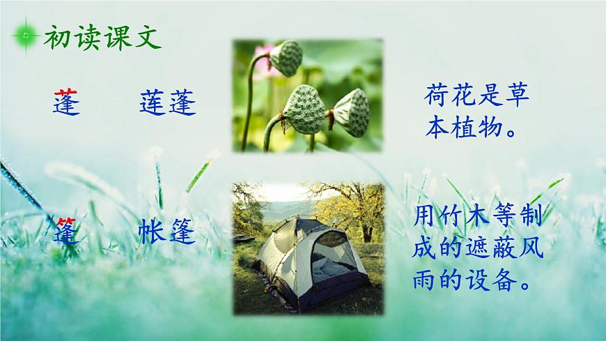 1人教版三年級語文下冊 第一單元 3 荷花第7頁
