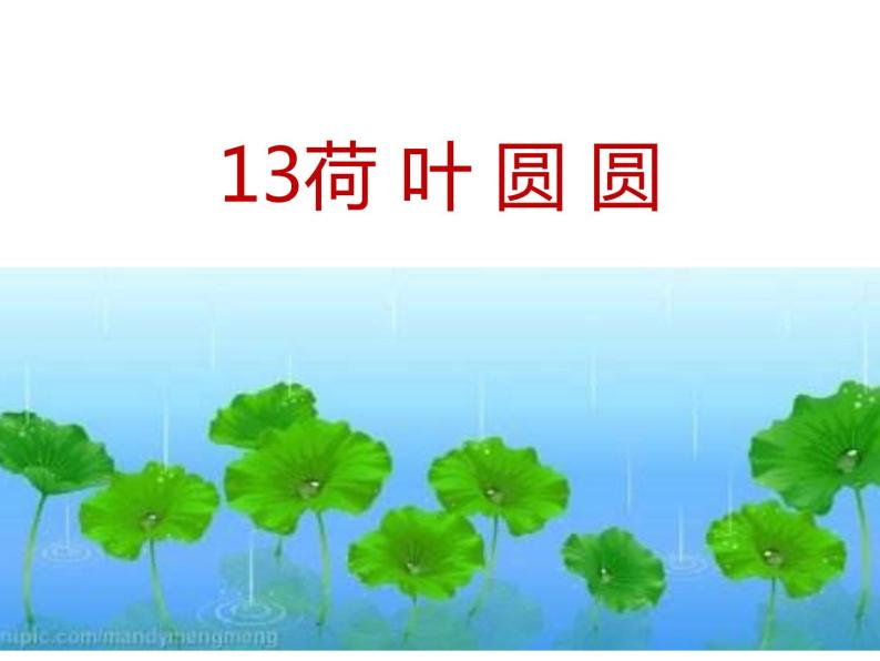 一年级下册语文《13：荷叶圆圆》 共28张】第一课时优质课件01