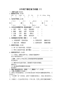 （含答案）人教新课标语文六年级下学期总复习试卷 (1)