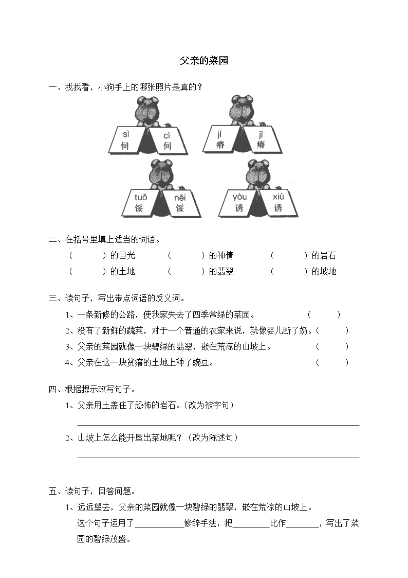 语文27* 父亲的菜园同步练习题