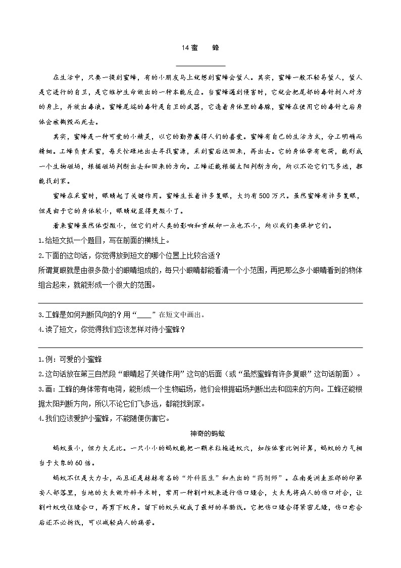 人教部编版三年级下册语文阅读专项训练 14蜜蜂 (word版,有答案)01