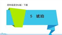 小学语文人教部编版四年级下册5 琥珀课文内容课件ppt